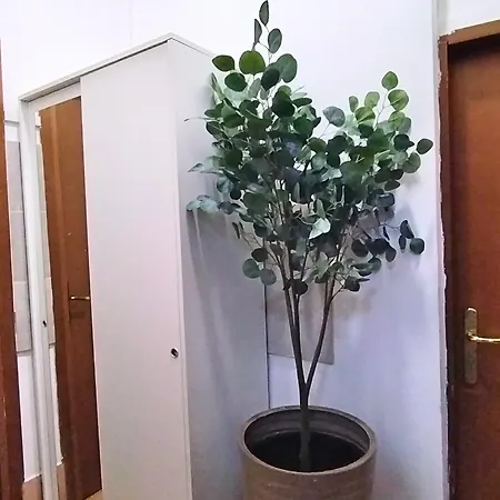 Bed & Breakfast Pavarotti